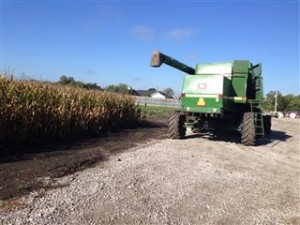 Corn Harvest at the Farm Research Center