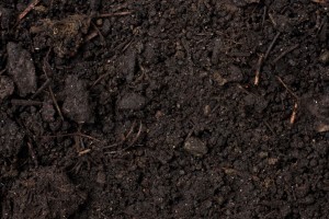 Healthier Soil