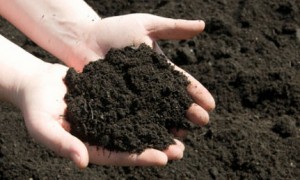 Soil Picture