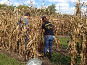 Ag Way Days at the Farm Research Center