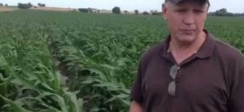 Bob Joehl’s High Yield Corn Crop