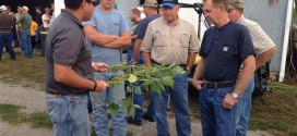 John Ortiz Discusses Soybean Plant Comparison