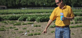 Dr. Andrew Scaboo Missouri University Soybean Scientist