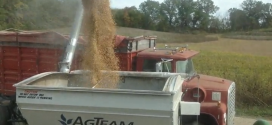 Soybean Harvest 3