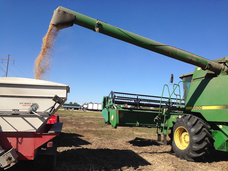 Grain Transfer 1 BigYield