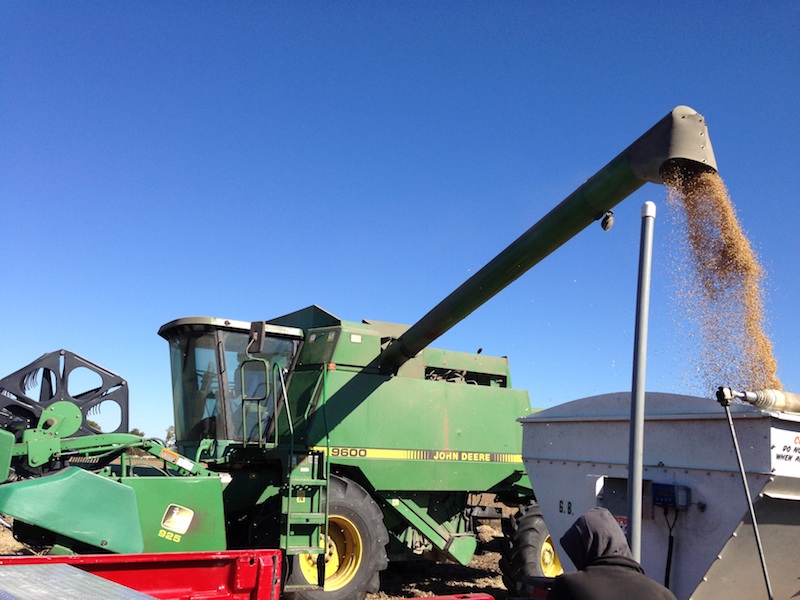 Grain Transfer 2 BigYield