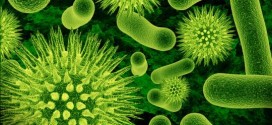 Good Microorganisms