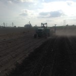 Soybean Planting 11