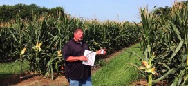 High Yield Corn Plot at The Farm Research Center