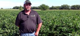 Rod Smith from Cleveland, Missouri, Discusses Soy100DB