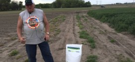 Steve Krause Discusses BigSoy100 and High Oleic Soybeans