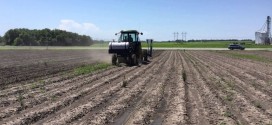 Soybean Planting at The Farm Research Center