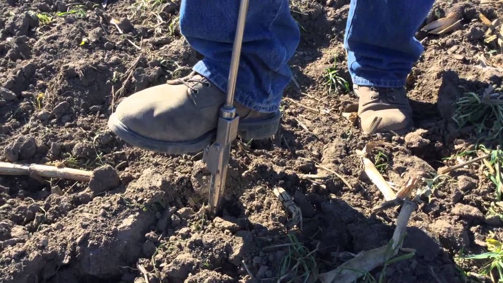 Soil Sampling at BigYield.us BigYield