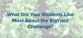 What-do-Students-Like-About-the-BigYield-Challenge
