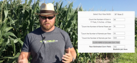 Estimating Corn Yields