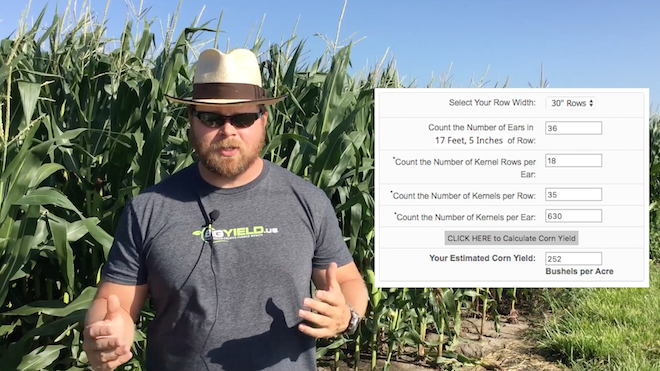 Estimate Your Corn Yields Bigyield