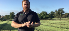 Cover Crops at BigYield