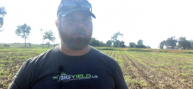 Making Cover Crops Profitable