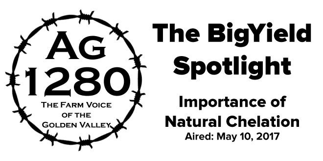 BigYield Spotlight - Importance of Natural Chelation