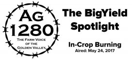 BigYield Spotlight - In-Crop Burning