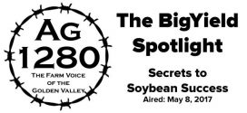 BigYield Spotlight Secrets to Soybean Success