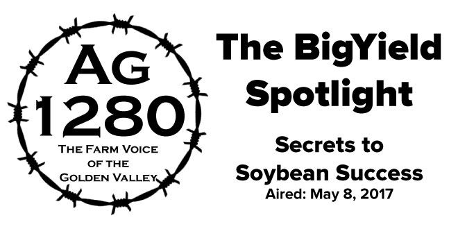 BigYield Spotlight Secrets to Soybean Success