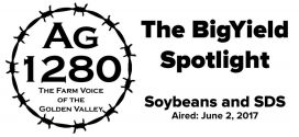 BigYield-Spotlight-Soybeans-and-SDS