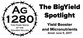 BigYield-Spotlight-Yield-Booster-and-Micronutrients