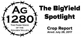 The-BigYield-Spotlight-Crop-Report