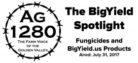 The-BigYield-Spotlight-Fungicides-and-BigYield-Products