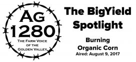 The-BigYield-Spotlight-Burning-Organic-Corn