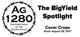 The-BigYield-Spotlight-Cover-Crops