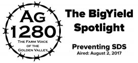The-BigYield-Spotlight-Preventing-SDS