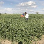 Farm-Tours-05