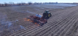 Burn in the Fall for Spring Weed Control
