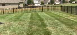 Use BigYield Products on Your Lawn