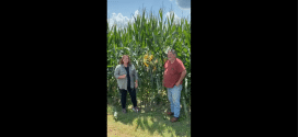 Dexter Jones Discusses His BigYield Corn Program