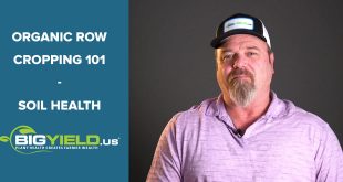 Soil Health | Organic Row Cropping 101