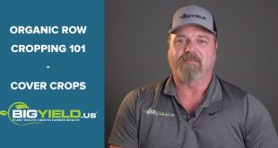 Cover Crops Organic Row Cropping 101