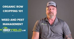 Weed and Pest Management | Organic Row Cropping 101