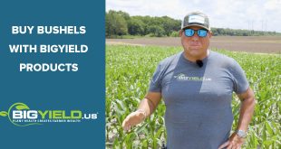 Buy Bushels with BigYield Product Applications