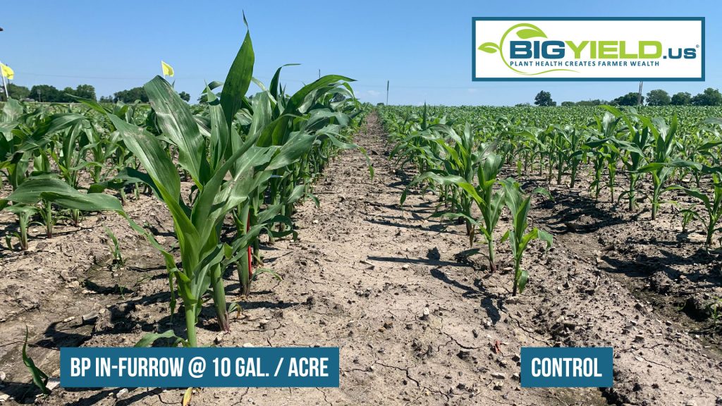A Look at BP InFurrow on Corn BigYield