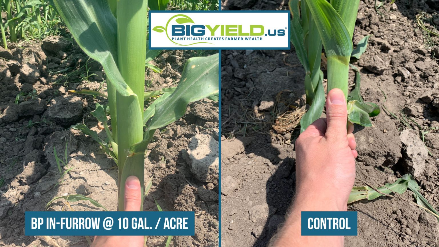 A Look at BP InFurrow on Corn BigYield