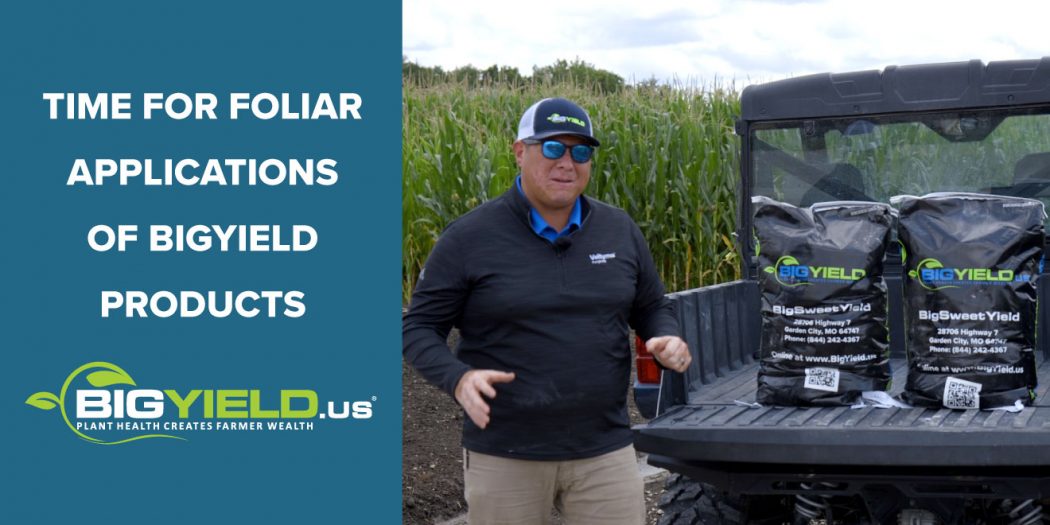 BigYield High Yield Soybeans, High Yield Corn, and High Yield Wheat