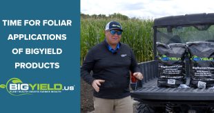 Time for Foliar Applications of BigYield Products