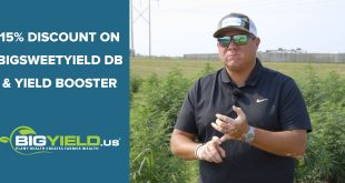 15 Percent Discount on BigSweetYield DB and Yield Booster