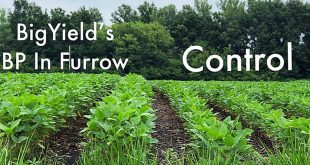 BP In-Furrow Soybean Comparison Featured