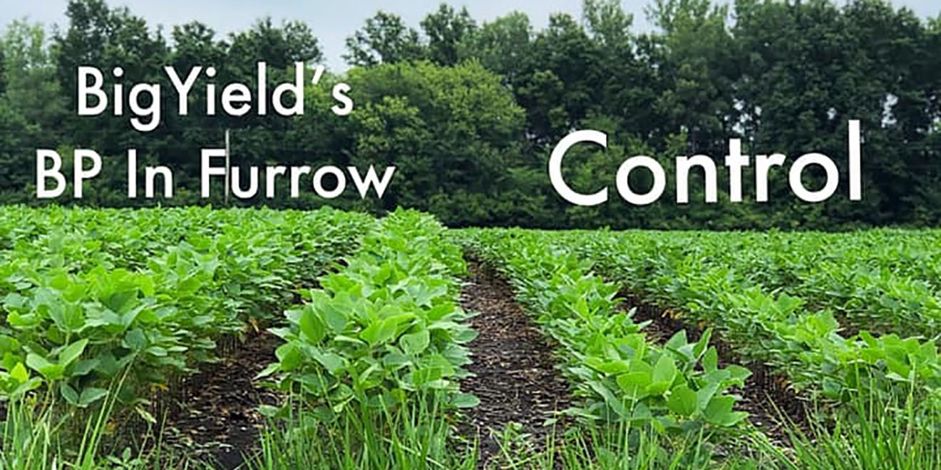 BP InFurrow on Soybeans Comparison BigYield