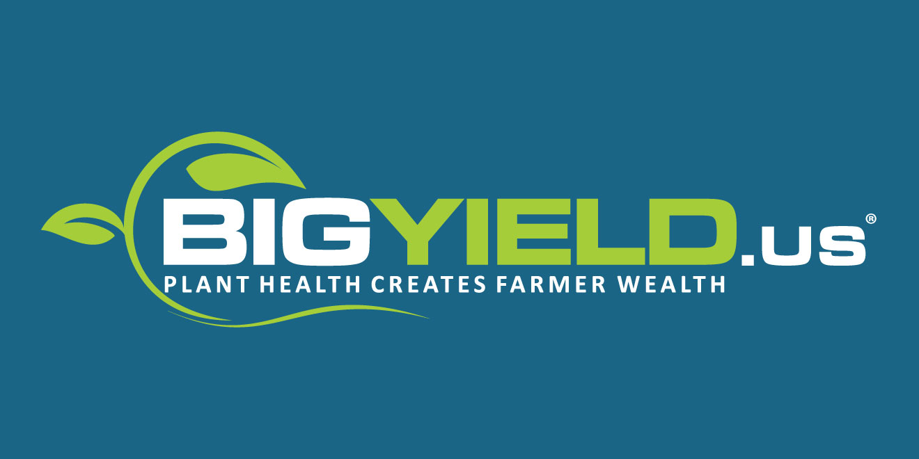 Lock In Prices Now Before They Increase BigYield