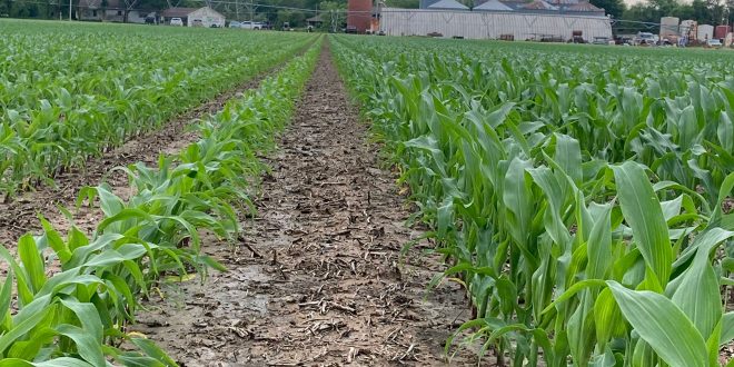 BP In-Furrow vs Dry Comparison Southwest MO Featured